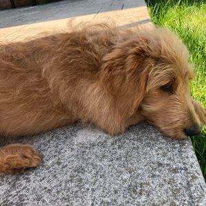 Meet your Posher, Michi